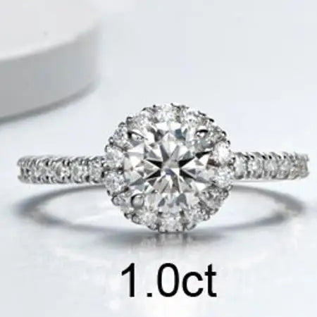 The Elizabeth Round Cut Halo Pave Moissanite Ring