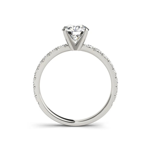 The Audrey Round Cut Solitaire Pave Moissanite Ring